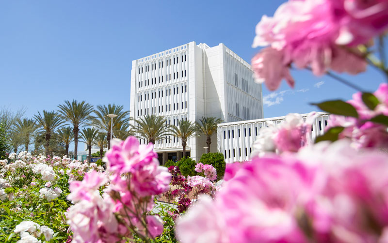 The Office of Faculty Affairs