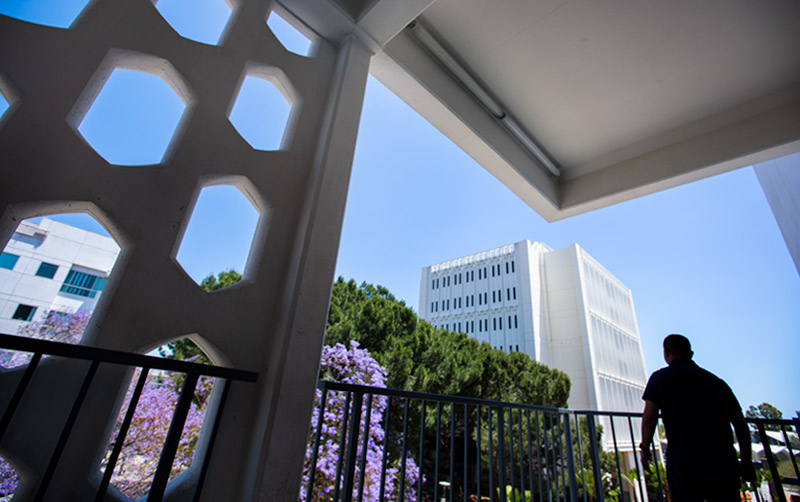 Celebrating the third year 