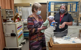 Weismuller, Director